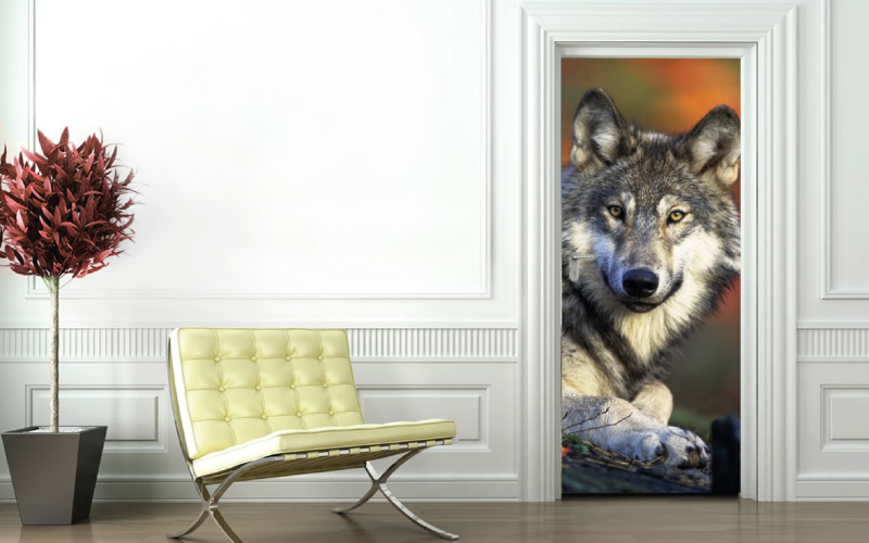 Puerta | Rotulación | Wrapprint360