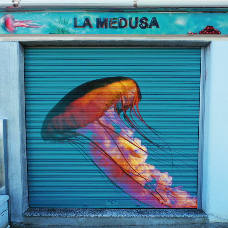Persiana personalizada | medusa | Wrapprint360